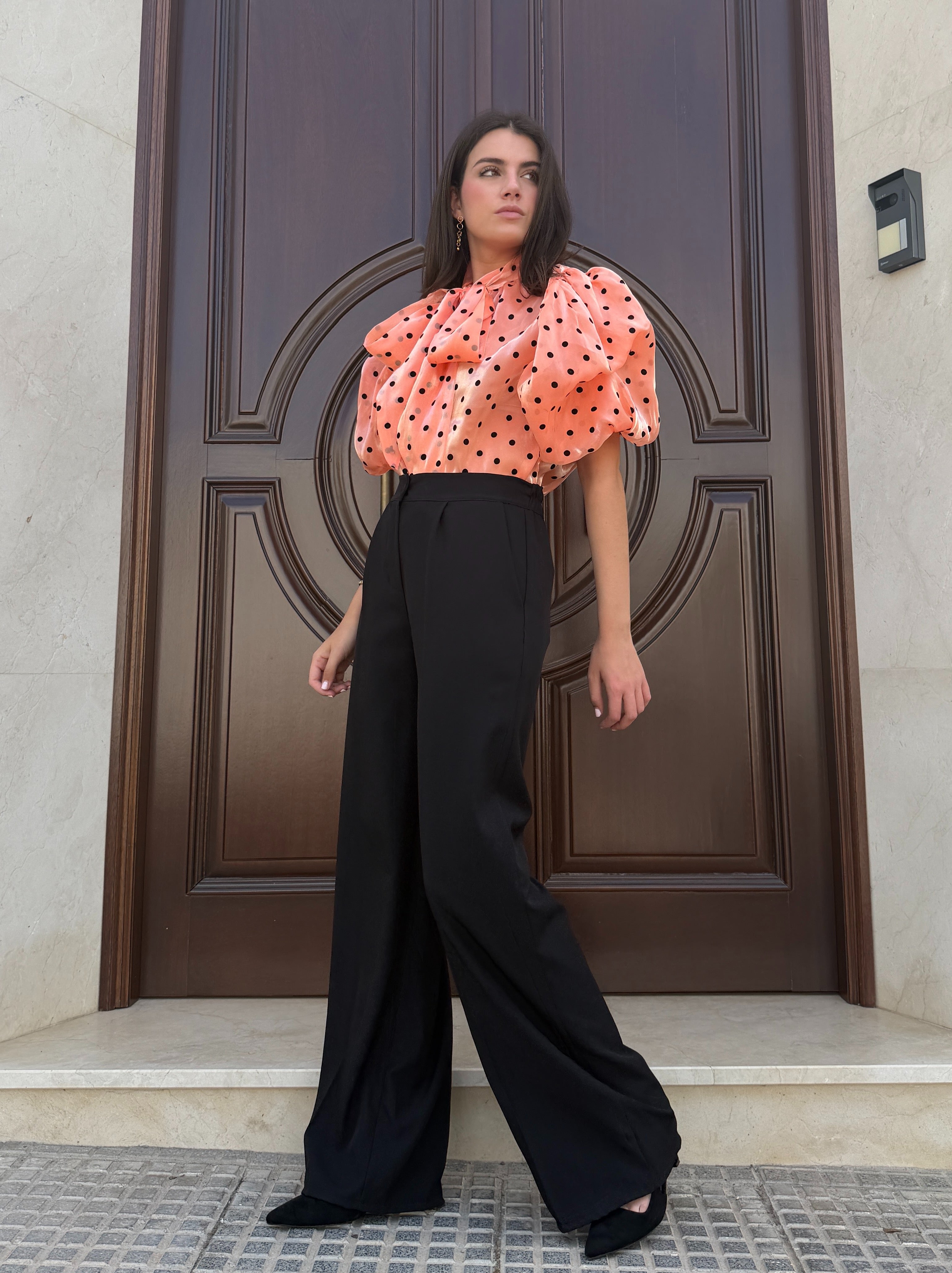 Pantalón Pinzas Negro